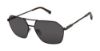Picture of Buffalo David Bitton Sunglasses BMS008