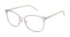 Picture of Buffalo David Bitton Eyeglasses BW019