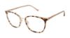 Picture of Buffalo David Bitton Eyeglasses BW019