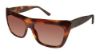 Picture of L.A.M.B. Sunglasses LA513