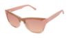 Picture of Ted Baker Sunglasses TWS159