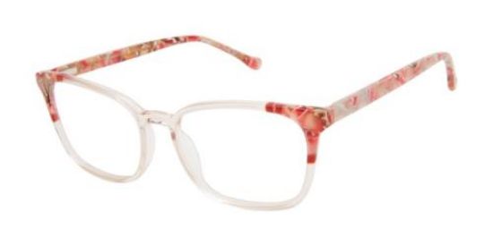 Picture of Buffalo David Bitton Eyeglasses BW026