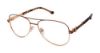 Picture of Buffalo David Bitton Eyeglasses BW503
