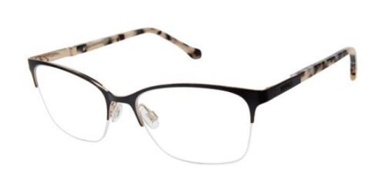 Picture of Buffalo David Bitton Eyeglasses BW506