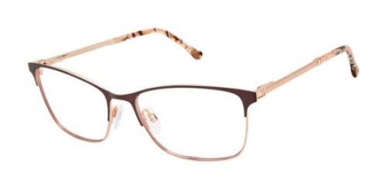 Picture of Buffalo David Bitton Eyeglasses BW511
