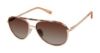 Picture of L.A.M.B. Sunglasses LA565