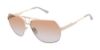 Picture of L.A.M.B. Sunglasses LA577