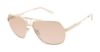 Picture of L.A.M.B. Sunglasses LA577