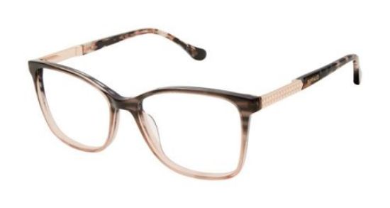 Picture of Buffalo David Bitton Eyeglasses BW016