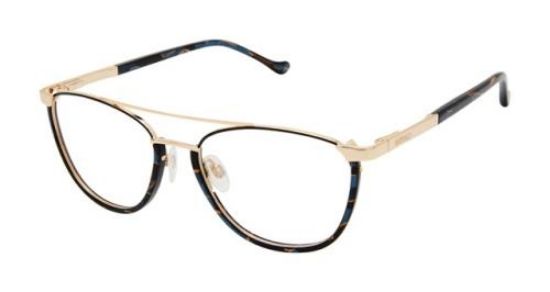 Picture of Buffalo David Bitton Eyeglasses BW514