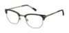 Picture of Ted Baker Eyeglasses TFM500