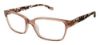 Picture of Ted Baker Eyeglasses B751