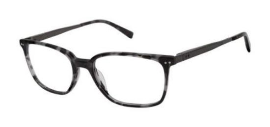 Picture of Ted Baker Eyeglasses TM003
