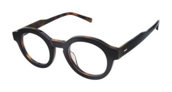 Picture of Ted Baker Eyeglasses TM009