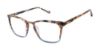 Picture of Buffalo David Bitton Eyeglasses BW023