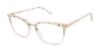 Picture of Buffalo David Bitton Eyeglasses BW024