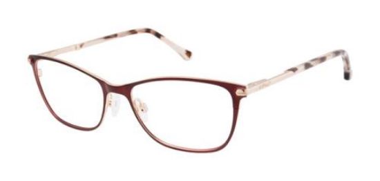 Picture of Buffalo David Bitton Eyeglasses BW504