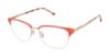 Picture of Buffalo David Bitton Eyeglasses BW518