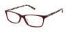 Picture of Ted Baker Eyeglasses B753UF