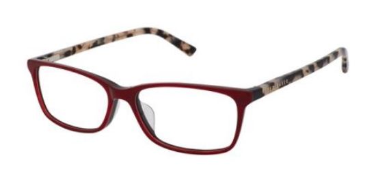 Picture of Ted Baker Eyeglasses B753UF
