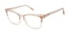 Picture of Ted Baker Eyeglasses TLW004