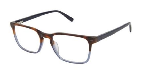 Picture of Ted Baker Eyeglasses TM008