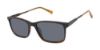 Picture of Ted Baker Sunglasses TMS093