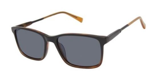 Picture of Ted Baker Sunglasses TMS093