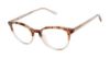 Picture of Ted Baker Eyeglasses TW013