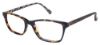 Picture of Ted Baker Eyeglasses B723