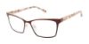 Picture of L.A.M.B. Eyeglasses LA086