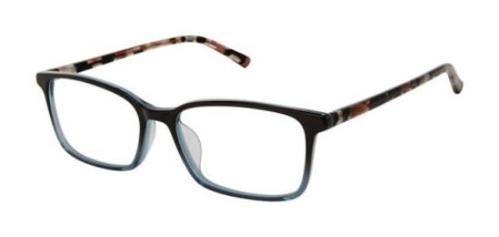Picture of Ted Baker Eyeglasses TWUF001
