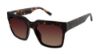 Picture of L.A.M.B. Sunglasses LA529