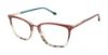 Picture of Buffalo David Bitton Eyeglasses BW024
