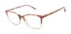 Picture of Buffalo David Bitton Eyeglasses BW025