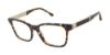 Picture of Buffalo David Bitton Eyeglasses BW005