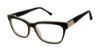 Picture of Buffalo David Bitton Eyeglasses BW006