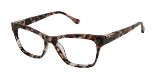 Picture of Buffalo David Bitton Eyeglasses BW008