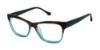 Picture of Buffalo David Bitton Eyeglasses BW008