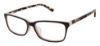 Picture of Ted Baker Eyeglasses B753UF