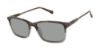 Picture of Ted Baker Sunglasses TMS093
