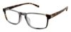 Picture of Ted Baker Eyeglasses B897UF
