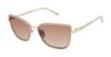 Picture of Buffalo David Bitton Sunglasses BWS012