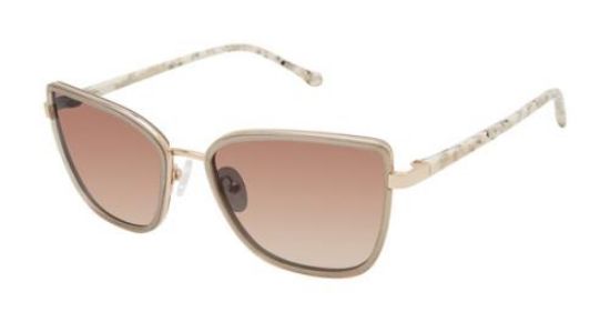 Picture of Buffalo David Bitton Sunglasses BWS012