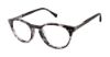 Picture of Buffalo David Bitton Eyeglasses BM006