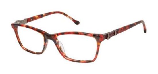 Picture of Buffalo David Bitton Eyeglasses BW002