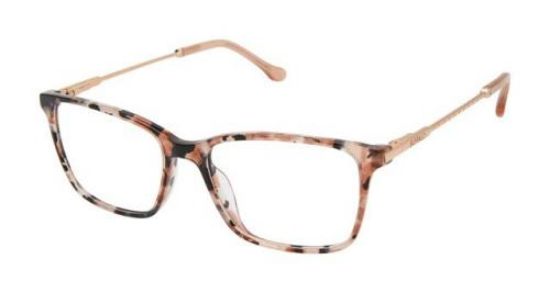 Picture of Buffalo David Bitton Eyeglasses BW018
