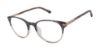 Picture of Ted Baker Eyeglasses TFW006