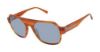 Picture of Ted Baker Sunglasses TBU001