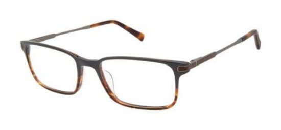 Picture of Ted Baker Eyeglasses TFM009
